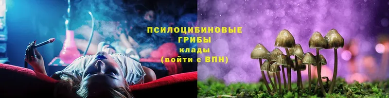 Псилоцибиновые грибы GOLDEN TEACHER  Красный Кут 